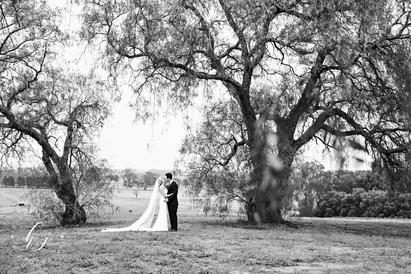 Kirsten Joy Photography photo 3