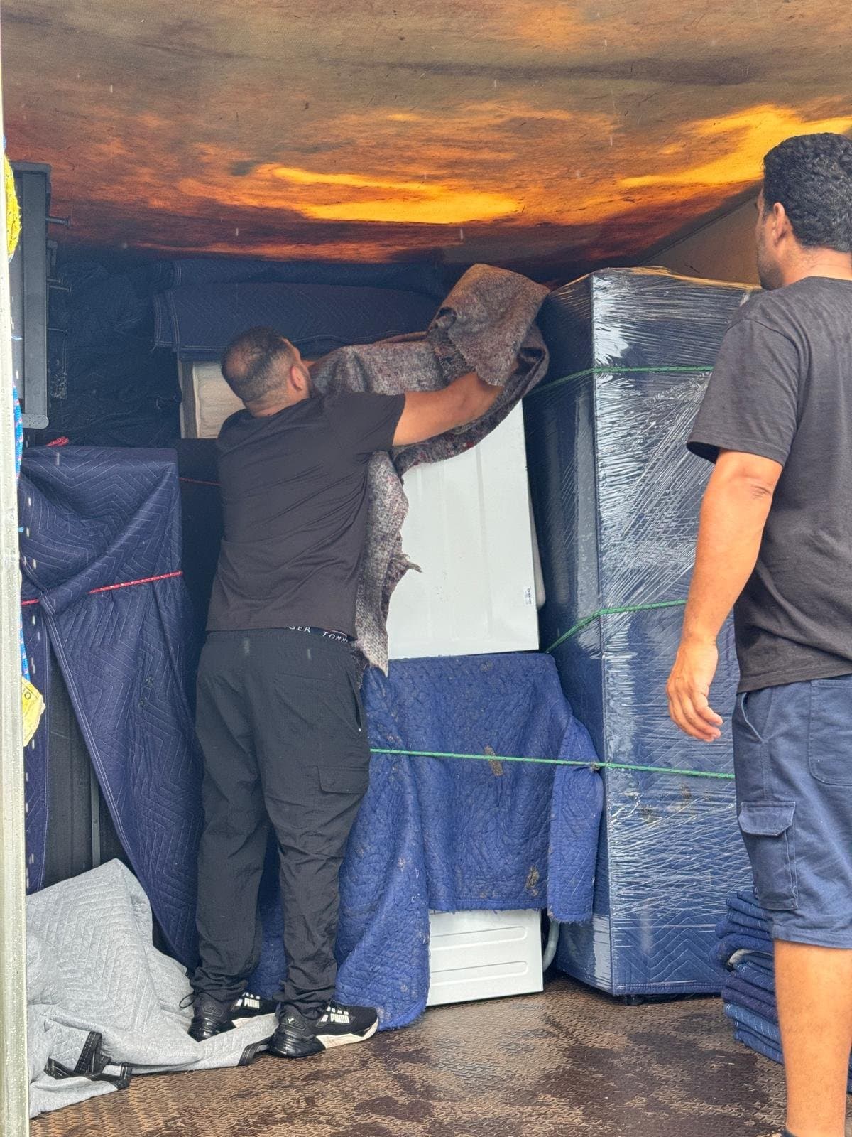 Premier Removalist photo 1