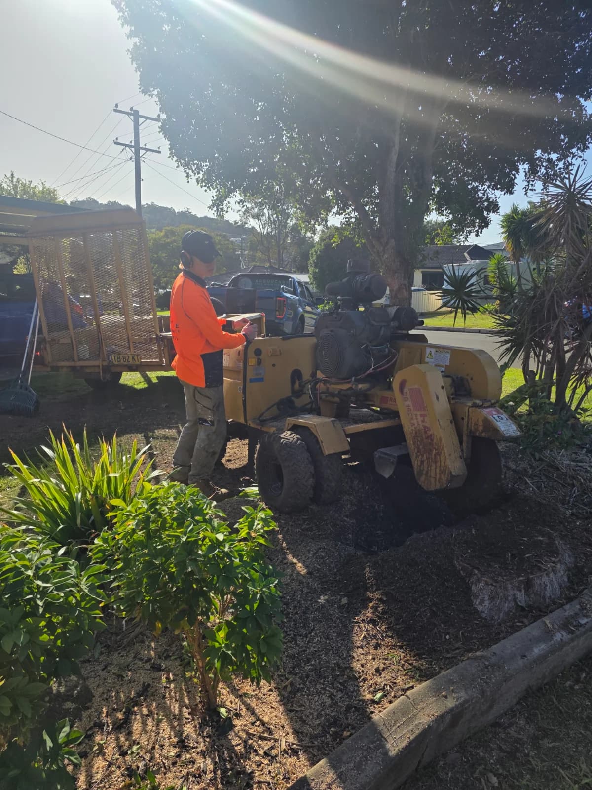 Arborcare Tree Maintenance Pty Ltd photo 6