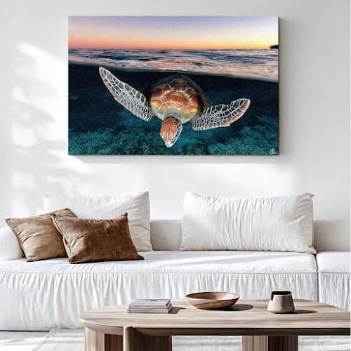 Jordan Robins Photography | Ocean Artist